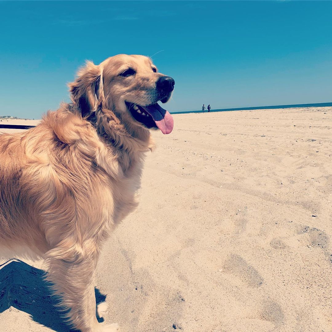 Beautiful day to get out for a walk on the beach. ⁣
FYI: this is the last week d...